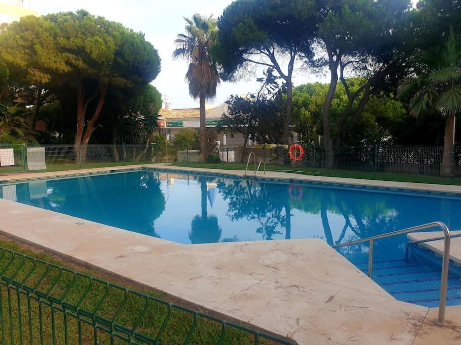 Precioso Estudio Con Piscina A 200M Del Mar Marbella Dış mekan fotoğraf