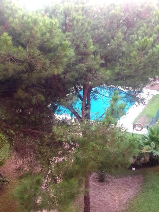 Precioso Estudio Con Piscina A 200M Del Mar Marbella Dış mekan fotoğraf