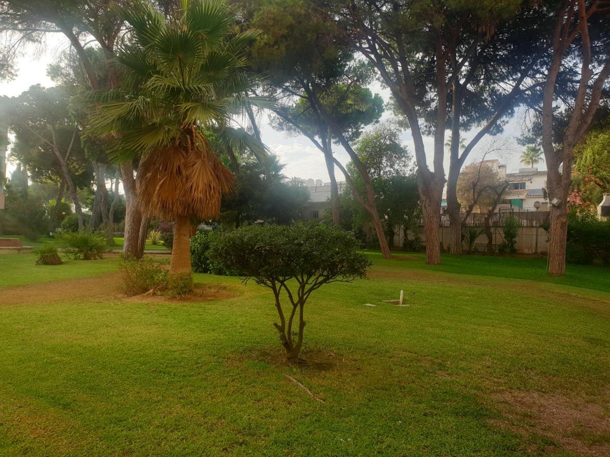Precioso Estudio Con Piscina A 200M Del Mar Marbella Dış mekan fotoğraf