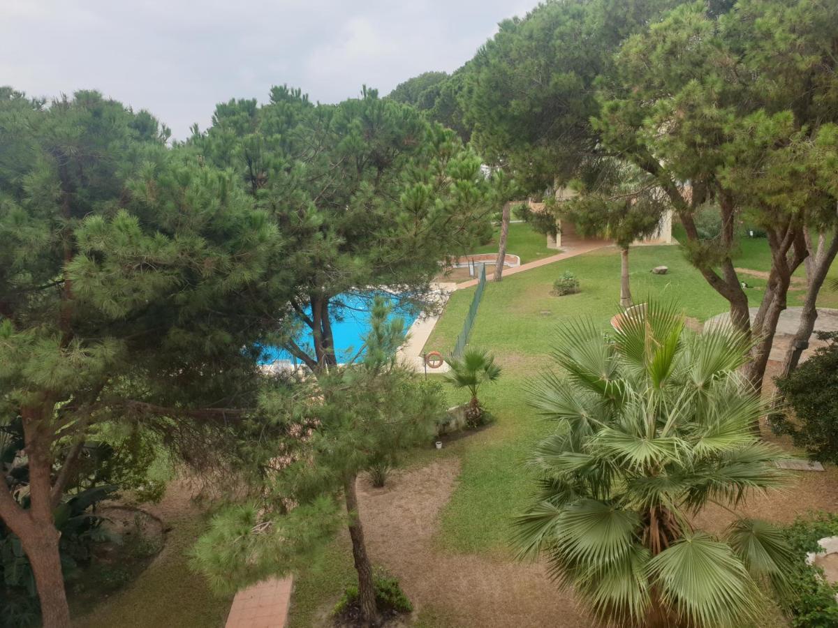Precioso Estudio Con Piscina A 200M Del Mar Marbella Dış mekan fotoğraf